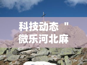 实地探访 ＂一起温州麻将有挂吗	”开挂辅助详细步骤