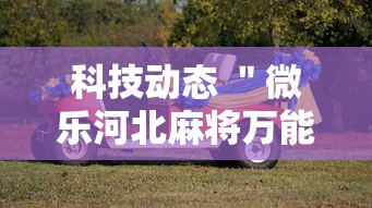 心得分享 ＂壹起跑得快助赢神器”揭秘透视辅助万能挂