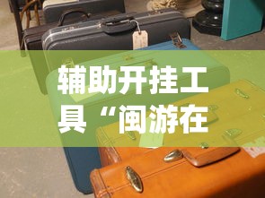 功能揭秘 ＂新道游有没有开挂”(原来确实是有插件)