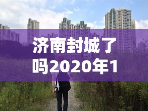 实测工具“天天踢坑能作弊吗(透视)”开挂(透视)辅助教程