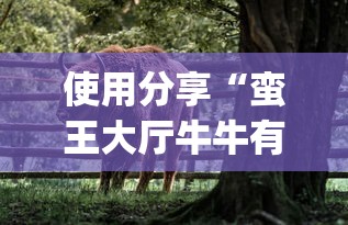 我来告诉你“新版荣耀可不可以用起手好牌挂	”详细外挂安装步骤