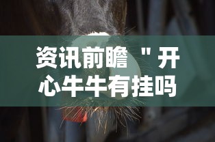 资讯前瞻 ＂开心牛牛有挂吗”真的有挂
