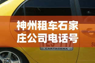 丰富分享“功夫熊猫有没有辅助工具调胜率”开挂辅助教程