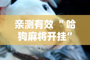 亲测有效 ＂哈狗麻将开挂”真的有挂