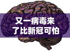 终于找到了 ＂奇迹陕西棋牌确实真的有挂	”其实确实有挂