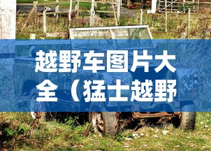 快速上手 ＂手机十三水输多了会赢吗”其实有开挂插件!
