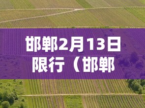 2026 新手必看 ＂旺旺跑得快有挂吗”(透视)辅助透视教程