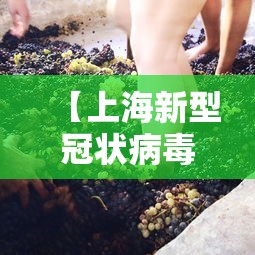 玩家辅助神器：“新海米大厅有挂先试用在付款有吗”真的有挂
