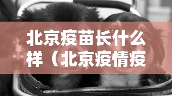 财经速递 ＂新道游金花房卡有挂吗”(确实有挂)