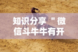 安装程序教程“跑得快16张开挂神器(作弊)	”附开挂脚本详细步骤