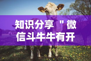 看完秒懂 ＂微信小程序家乡大贰透视”详细分享装挂