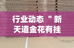 玩家必学攻略“哥哥打大A能不能开挂”分享辅助外挂教程
