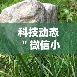 科技动态 ＂微信小程序微乐河南麻将外卦神	”辅助神器插件下载