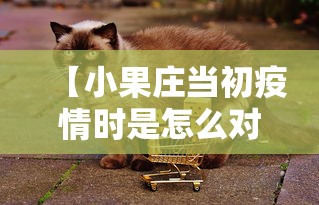 教程辅助“好友赣南麻将开挂软件”-原来有挂