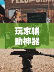玩家辅助神器：“中至上饶打炸作弊视频”分享必要外挂教程
