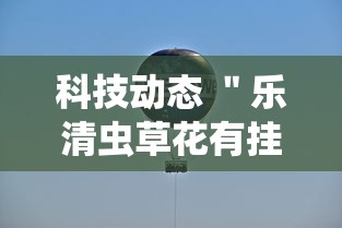科技动态 ＂乐清虫草花有挂吗”实测确实有挂