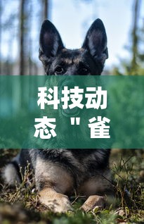 科技动态 ＂雀神麻将可以开挂么”辅助挂下载
