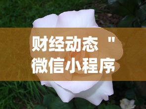 财经动态 ＂微信小程序雀神广东麻将有挂吗”(果然有透视挂)