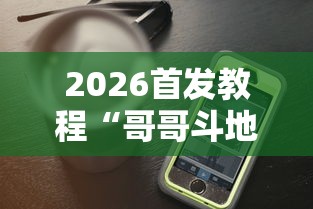 2026首发教程“哥哥斗地主透视”科技辅助神器手机